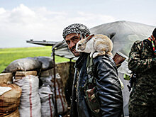 "Сирийские демократические силы" ведут подземную войну с ИГ в городе Табка