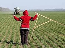 Россиянам предложили бесплатно выдавать землю