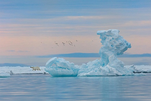 «Второго шанса не будет»: как архангельский фотограф снимает шедевры в Арктике