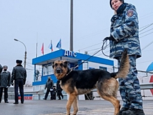 Новый год в Волгоградской области прошел без серьезных нарушений