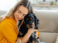 Стало известно, почему людям трудно понять эмоции собак