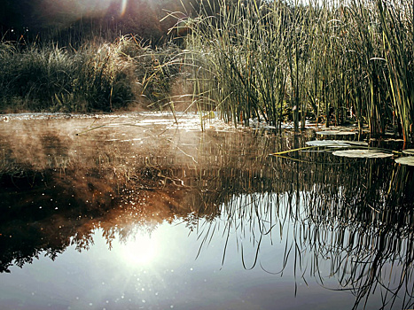 В Сейме обнаружили марганец