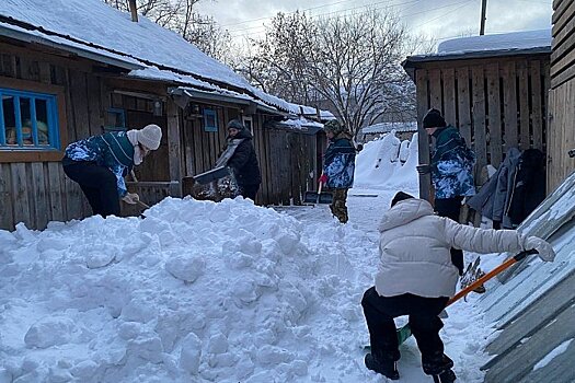 Кировские студенты-добровольцы помогают жителям области с уборкой снега и укладкой дров