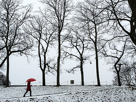 Погода в Эстонии: самый точный прогноз на 13-14 декабря