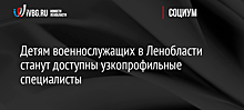 Детям военнослужащих в Ленобласти станут доступны узкопрофильные специалисты