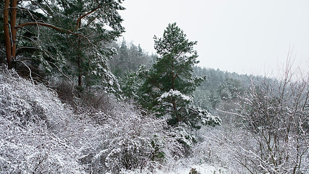 Поиски семьи Усольцевых могут быть приостановлены до весны: подробности