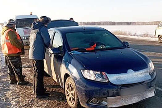 Рабочая встреча чиновников в Омской области закончилась дракой