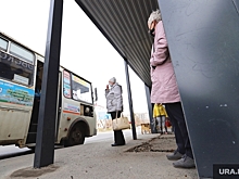 После запрета шашлыков в Кургане откроют маршруты до пляжа в лесу