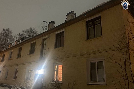 В Выксе девушка пострадала от упавшей с крыши наледи