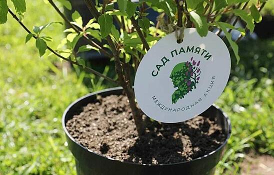 Пятимиллионное дерево высадили в усадьбе Толстого к акции "Сад памяти"