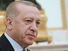 Турция пригрозила отозвать посла из ОАЭ