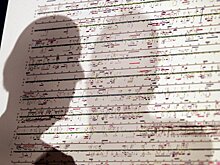 Как генетика меняет наши представления о «расе»