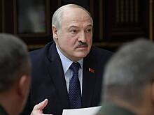 Лукашенко показал мастер-класс по колке дров