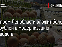Птицепром Ленобласти вложит более 4 млрд рублей в модернизацию производств