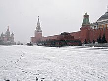 Американку с теленком задержали на Красной площади