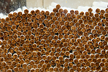 Количество нелегальных сигарет в России выросло в полтора раза