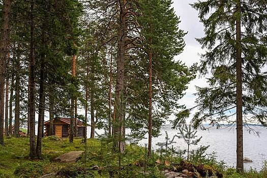 Россияне захотели отправиться в кинопутешествие по стране