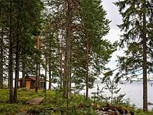 Россияне захотели отправиться в кинопутешествие по стране