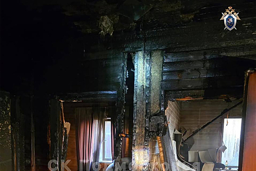 Выяснилась биография погибших в Подмосковье супругов, в доме которых нашли оккультные изделия