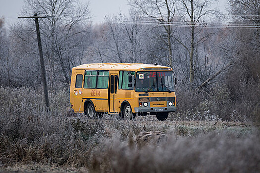 В Татарстане загорелся автобус с детьми
