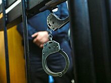 Бизнесмен Армен Джуликян вернулся из Еревана в Россию после вынесения приговора