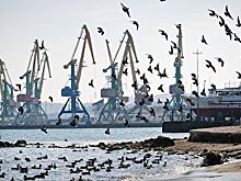 В новом правительстве Украины все понимают: мир с Россией возможен только после возврата Крыма (Гордон, Украина)