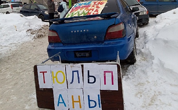 Массовая торговля тюльпанами по 70 рублей началась в Новосибирске