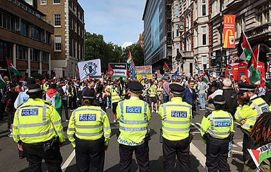 В Лондоне полиция провела задержания на акции в поддержку Palestine Action