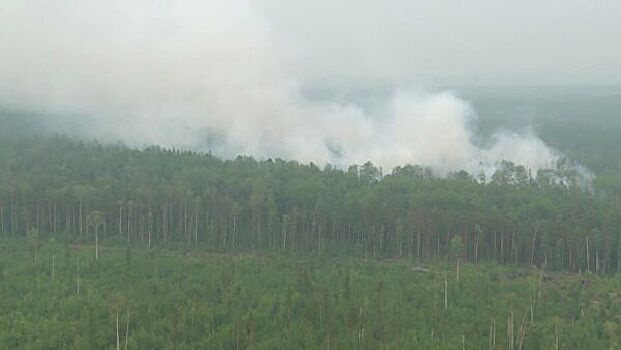 Власти сообщили об увеличении за сутки лесных пожаров в Приангарье