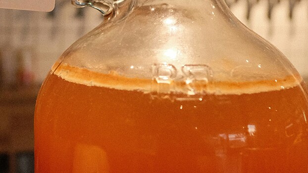 Как сделать медовуху в домашних условиях