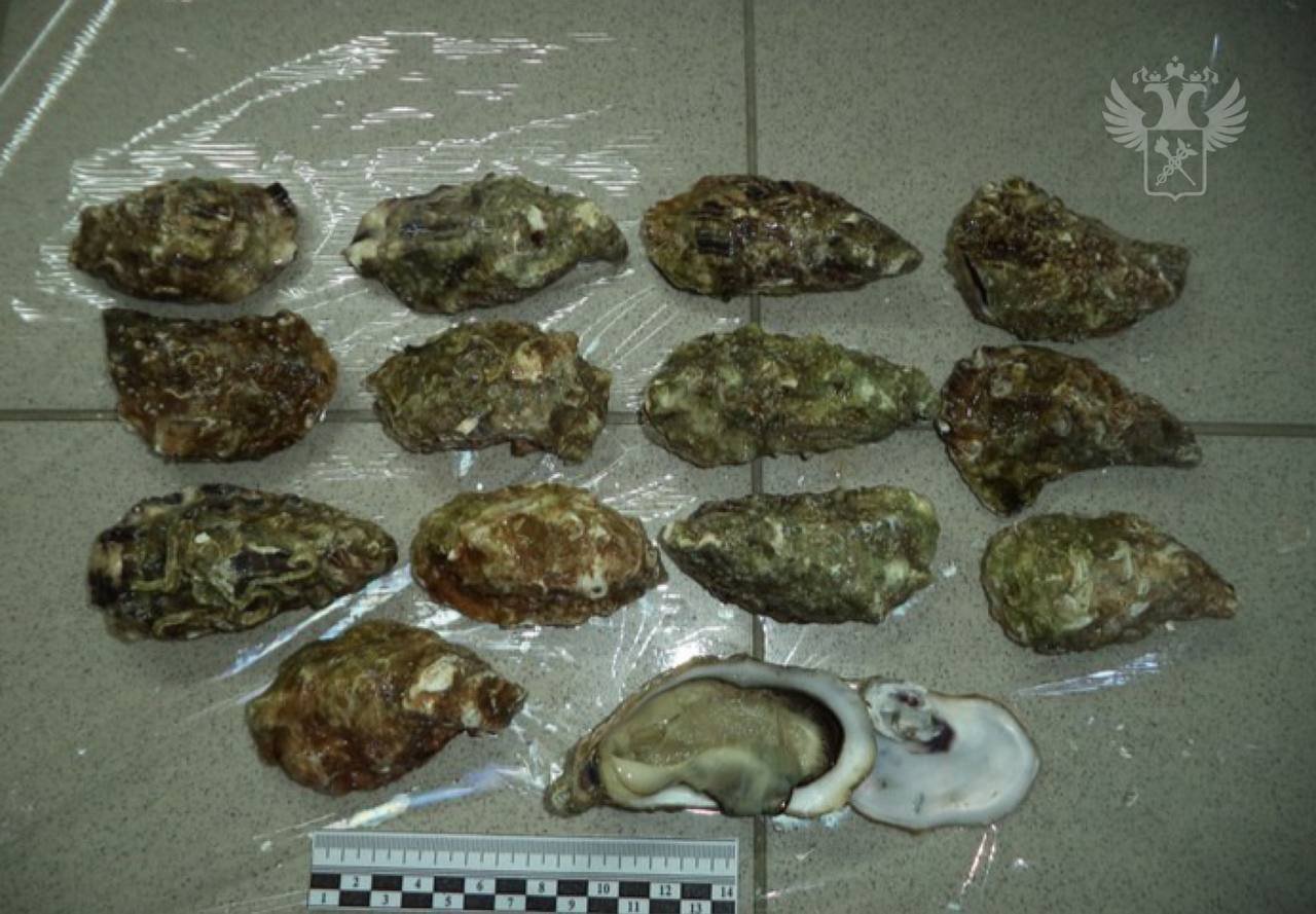 Смоленские таможенники пресекли контрабанду морских деликатесов, ввезенных с территории Белоруссии