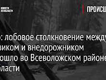 Видео: лобовое столкновение между грузовиком и внедорожником произошло во Всеволожском районе Ленобласти