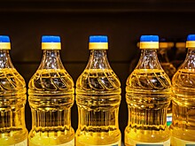 Прогноз: экспорт растительных масел из РФ поставит рекорд в 2023 году