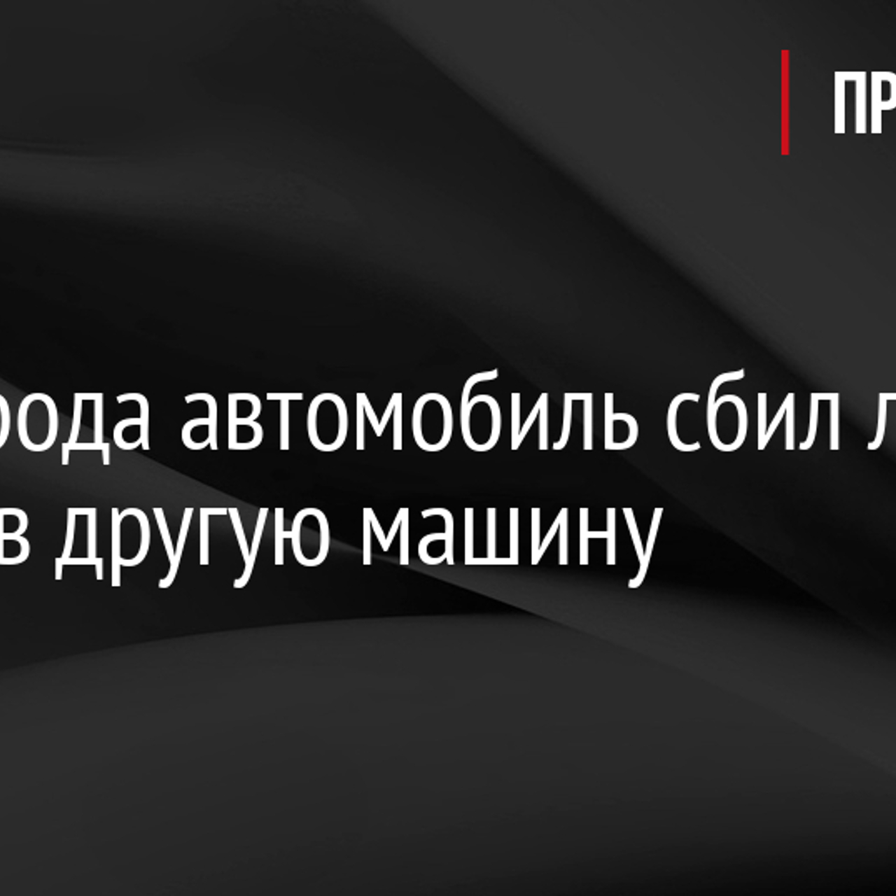 У Ивангорода автомобиль сбил лося и врезался в другую машину - Рамблер/авто