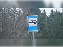 В Карелии жители поселка Боровой 6 месяцев не могут выехать из него из-за поломки единственного автобуса