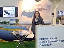 Отдых в «Лебединой стране». Экозащитники о проекте по спасению Волги