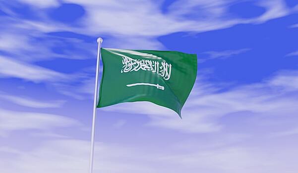 В Саудовской Аравии оценили действия ОПЕК+