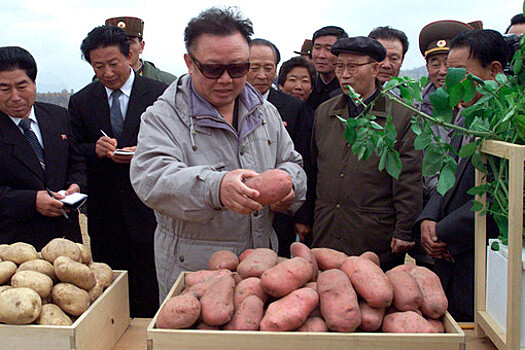 42% жителей Северной Кореи голодают