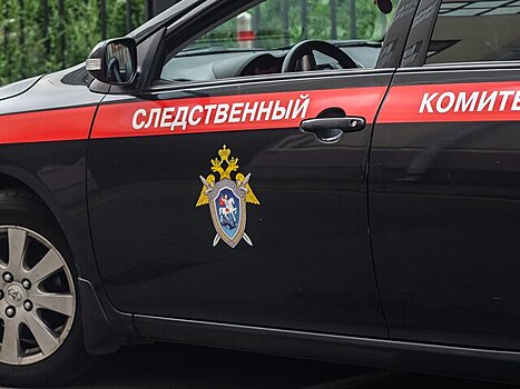 Родственники супругов-сатанистов из Москвы рассказали подробности о семье