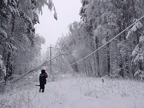 Мощный майский снегопад лишил света жителей Свердловской области