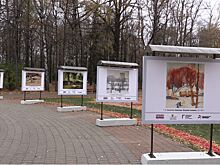 В парке Толстого в Химках открылась художественная выставка