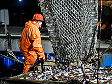 Сенаторы от Аляски против поставок рыбы из России