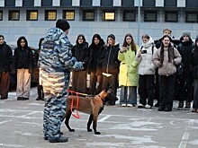 В столичном отделе полиции района Котловка прошел День открытых дверей для школьников
