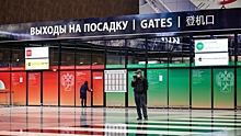 В Госдуме предложили запретить в аэропортах объявления на английском