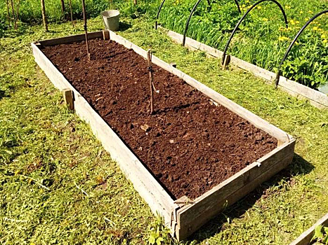 Некопательные грядки - это просто! У нас суглинок, а в грядке земля стала пышной и рассыпчатой