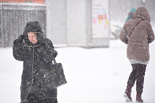 Синоптики предупредили о дождях со снегом в ЦФО