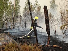 Одни из крупнейших лесных пожаров в ЦФО приходятся на Рязанскую область