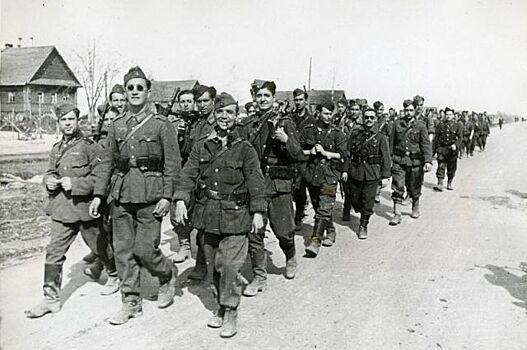 Голубая дивизия: как воевали с СССР испанские легионеры Гитлера