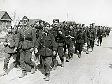 Голубая дивизия вермахта: что стало с испанцами на Восточном фронте