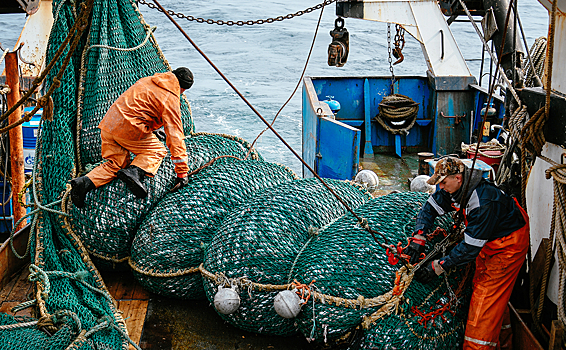 Российские рыбаки ищут новые рынки сбыта из-за закрытия США и ЕС